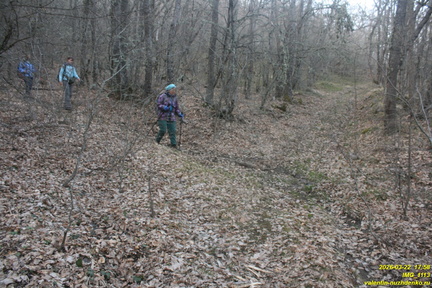 IMG 1113