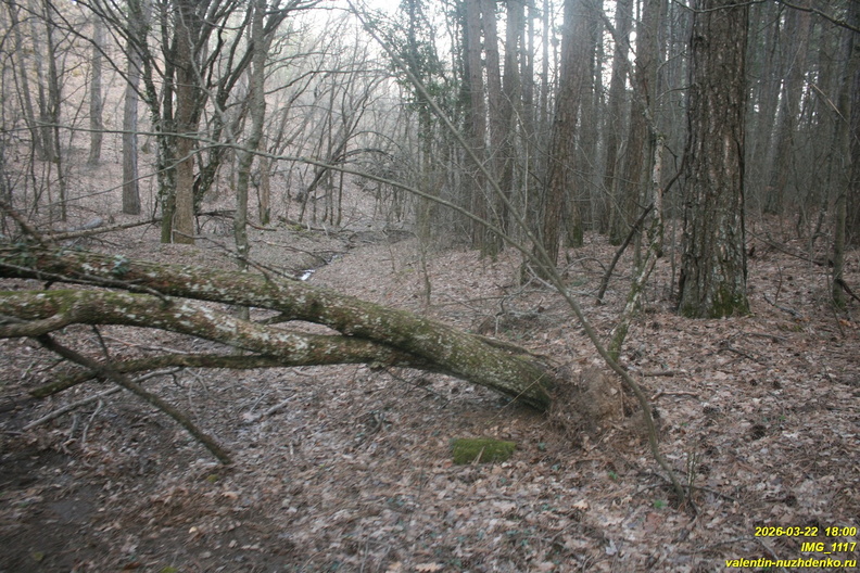 IMG_1117.JPG