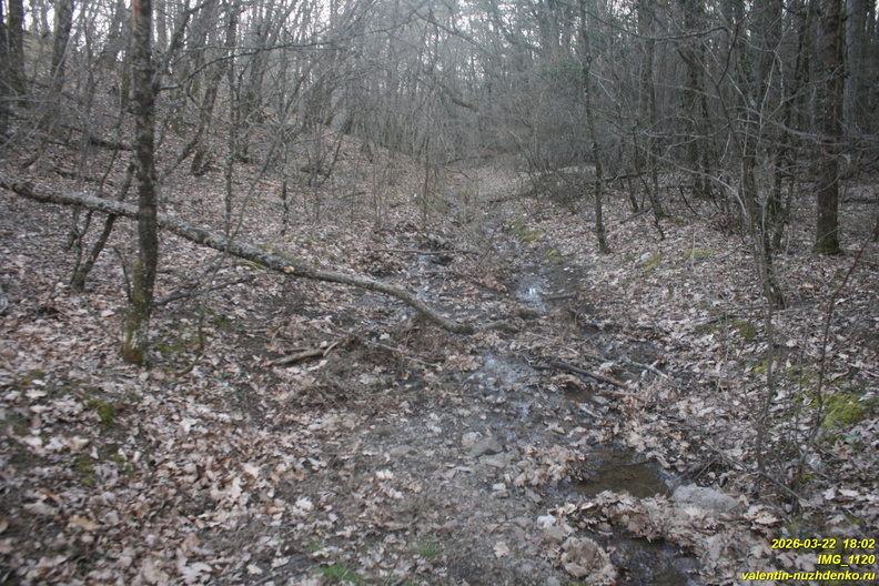 IMG_1120.JPG