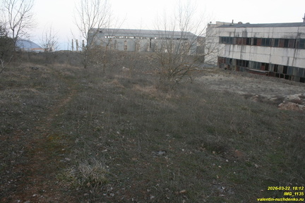 IMG 1135