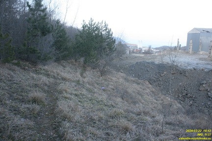 IMG 1137