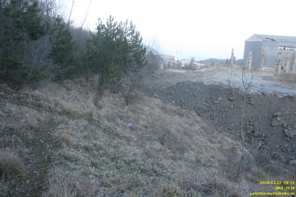 IMG 1138