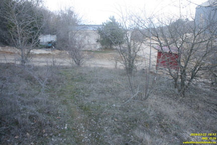 IMG 1139