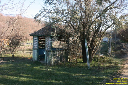 IMG 0-0039
