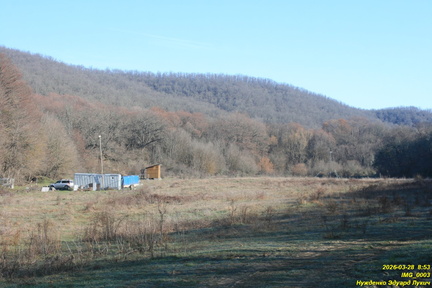 IMG 0003