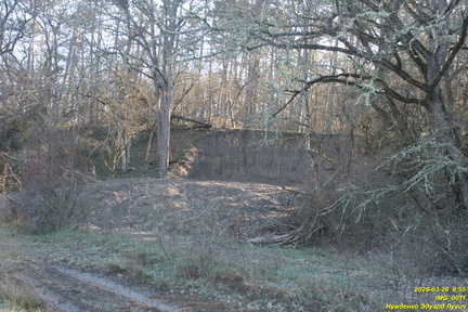 IMG 0011