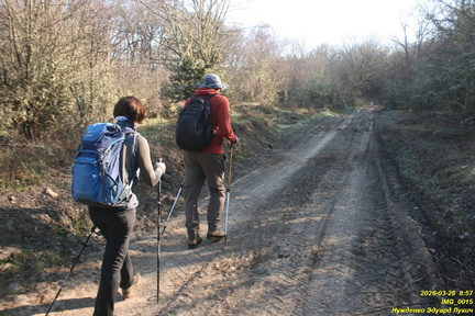 IMG 0015