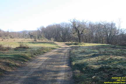 IMG 0024