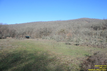 IMG 0025