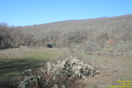 IMG 0026