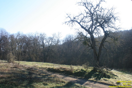 IMG 0027
