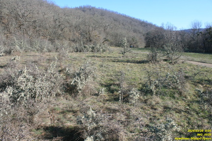 IMG 0028
