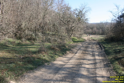 IMG 0032