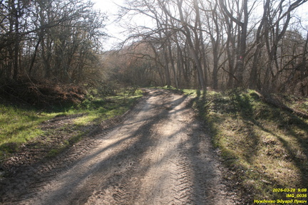 IMG 0036
