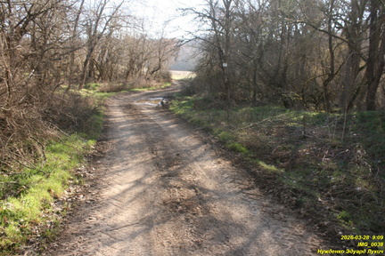 IMG 0038