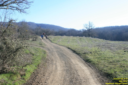 IMG 0039
