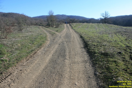 IMG 0040
