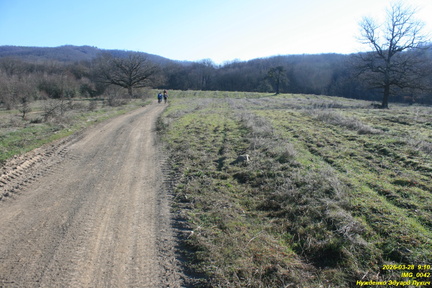 IMG 0042