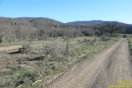IMG 0044