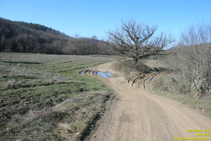 IMG 0047