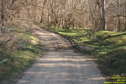 IMG 0053