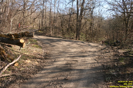 IMG 0060