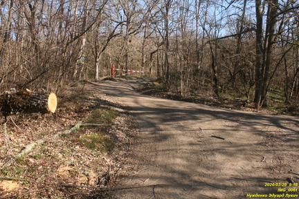 IMG 0061