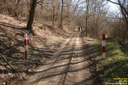 IMG 0065