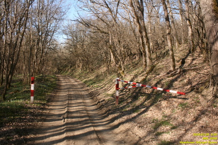 IMG 0066