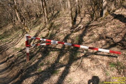 IMG 0067