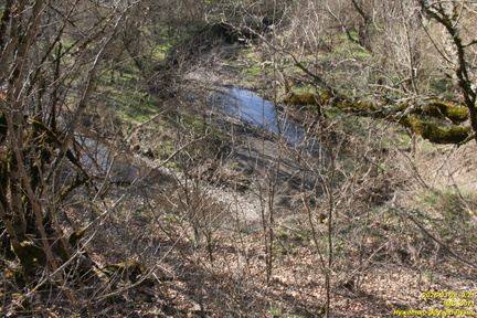 IMG 0071