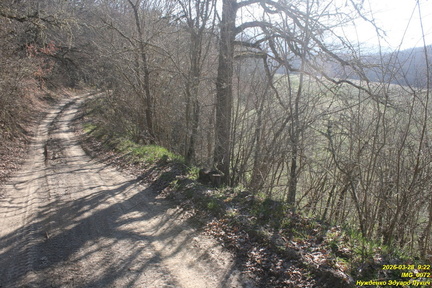 IMG 0072