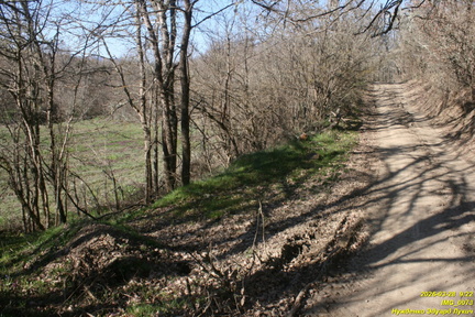 IMG 0073