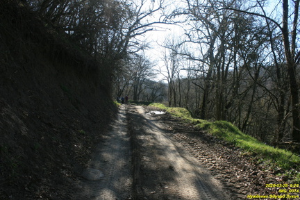 IMG 0074