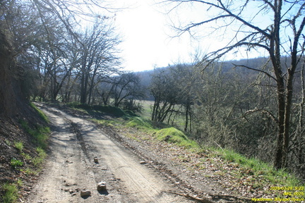 IMG 0075