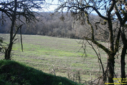 IMG 0076