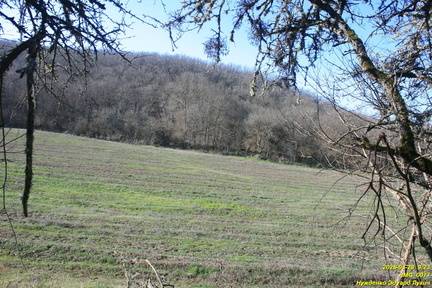 IMG 0077