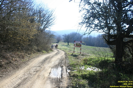 IMG 0078