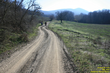 IMG 0079