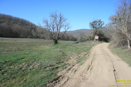 IMG 0080