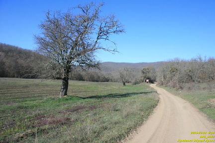 IMG 0083