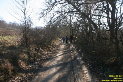 IMG 0085