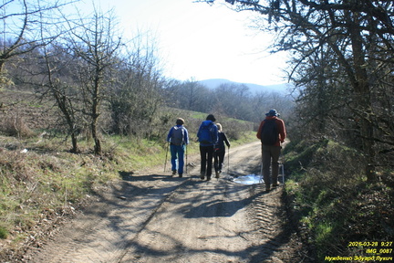 IMG 0087