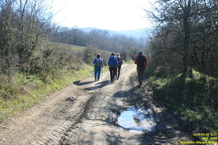 IMG 0089