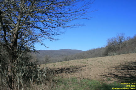 IMG 0092