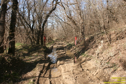 IMG 0096
