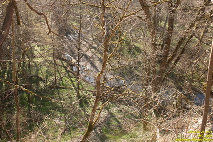 IMG 0097
