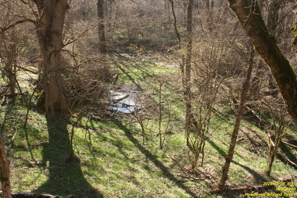 IMG 0100