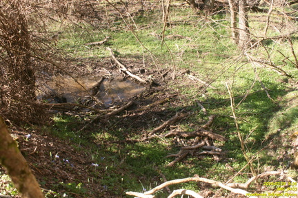 IMG 0103