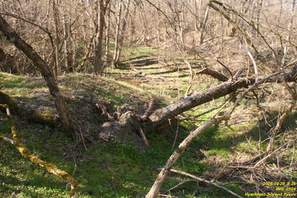 IMG 0104
